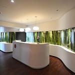 repräsentativer Empfangsbereich und Empfangs-Tresen aus Corian weiß geschwungene organisch geformte Wände mit beleuchteter Nische mit Bambus-Dekor Praxis-Design in der Praxis für Dermatologie Venerologie und TCM Dr. med. May Sian Oei Schillerstr. 44b Ottensen im ästhetischen und zeitlosen Design von Lange Architekten